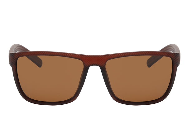 brown sunglasses for mens